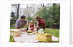 Family mother father girl spring picnic on checkered tablecloth by Anonymous