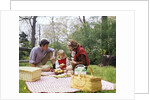 Family mother father girl spring picnic on checkered tablecloth by Anonymous