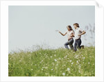 Young teen couple boy girl running field wildflowers by Anonymous