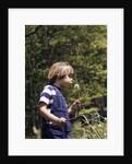 Boy wearing bib overalls blowing on dandelion head by Anonymous
