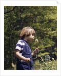 Boy wearing bib overalls blowing on dandelion head by Anonymous