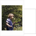 Boy wearing bib overalls blowing on dandelion head by Anonymous