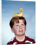 Boy with baby duckling sitting on top of his head by Anonymous