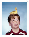 Boy with baby duckling sitting on top of his head by Anonymous