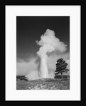 Old faithful geyser erupting yellowstone national park by Anonymous