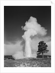 Old faithful geyser erupting yellowstone national park by Anonymous
