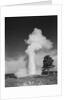Old faithful geyser erupting yellowstone national park by Anonymous