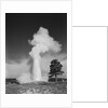 Old faithful geyser erupting yellowstone national park by Anonymous