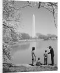 Family mother father two boys in washington dc looking at washington monument amid cherry blossoms by Anonymous
