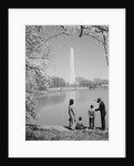 Family mother father two boys in washington dc looking at washington monument amid cherry blossoms by Anonymous
