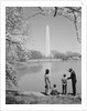 Family mother father two boys in washington dc looking at washington monument amid cherry blossoms by Anonymous