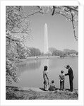 Family mother father two boys in washington dc looking at washington monument amid cherry blossoms by Anonymous
