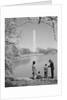 Family mother father two boys in washington dc looking at washington monument amid cherry blossoms by Anonymous