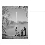 Family mother father two boys in washington dc looking at washington monument amid cherry blossoms by Anonymous