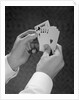 Male hands holding hand poker cards 4 aces and a king by Anonymous