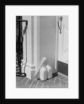Glass milk bottles and newspaper by front door home delivery by Anonymous