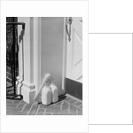 Glass milk bottles and newspaper by front door home delivery by Anonymous