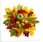 An autumn wreath with leaves, apples and berries by Anonymous