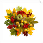 An autumn wreath with leaves, apples and berries by Anonymous