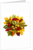 An autumn wreath with leaves, apples and berries by Anonymous