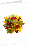 An autumn wreath with leaves, apples and berries by Anonymous