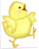 A happy chick spreading its wings as it walks by Anonymous