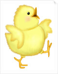 A happy chick spreading its wings as it walks by Anonymous