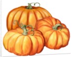A picture of three pumpkins by Anonymous