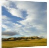Grazing farmland hills and cumulus clouds, evening, South Island, New Zealand by Anonymous