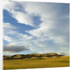 Grazing farmland hills and cumulus clouds, evening, South Island, New Zealand by Anonymous