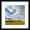 Grazing farmland hills and cumulus clouds, evening, South Island, New Zealand by Anonymous