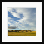 Grazing farmland hills and cumulus clouds, evening, South Island, New Zealand by Anonymous
