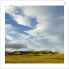 Grazing farmland hills and cumulus clouds, evening, South Island, New Zealand by Anonymous