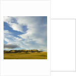 Grazing farmland hills and cumulus clouds, evening, South Island, New Zealand by Anonymous