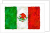 Drawing of the flag of Mexico by Anonymous