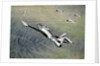 American fighter planes flying over North Korea by Anonymous