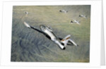 American fighter planes flying over North Korea by Anonymous