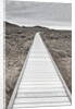 Boardwalk through the desert by Anonymous