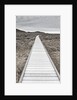 Boardwalk through the desert by Anonymous