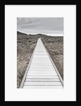 Boardwalk through the desert by Anonymous