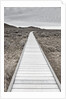 Boardwalk through the desert by Anonymous