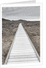 Boardwalk through the desert by Anonymous