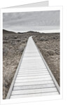 Boardwalk through the desert by Anonymous