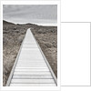 Boardwalk through the desert by Anonymous