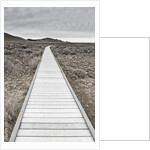 Boardwalk through the desert by Anonymous
