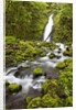 Ruckel Creek Falls by Anonymous