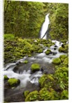 Ruckel Creek Falls by Anonymous