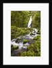 Ruckel Creek Falls by Anonymous