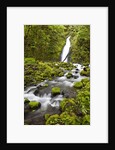Ruckel Creek Falls by Anonymous