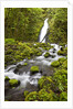 Ruckel Creek Falls by Anonymous